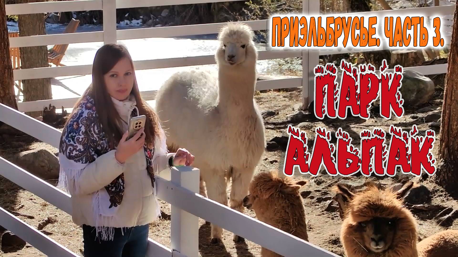 ПРИЭЛЬБРУСЬЕ. ЧАСТЬ 3. ПАРК АЛЬПАК смотреть онлайн