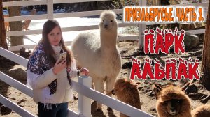 ПРИЭЛЬБРУСЬЕ. ЧАСТЬ 3. ПАРК АЛЬПАК