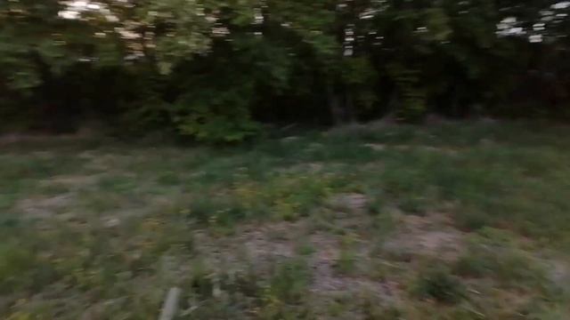 Прогулялся по огороду. Черешня наливается. И вечно голодные куры! смотреть онлайн