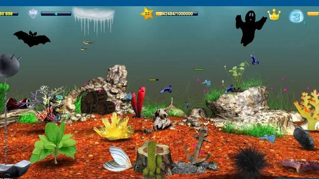 Кормлю рыбок сердечками в День Святого Валентина смотреть онлайн