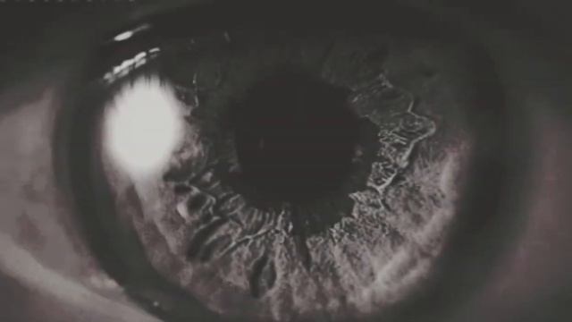 Буктрейлер "Мой муж монстр" смотреть онлайн