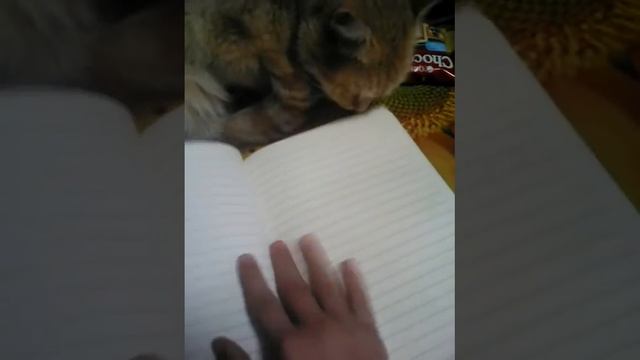 Мой новый л/д/Аринка Малинка смотреть онлайн