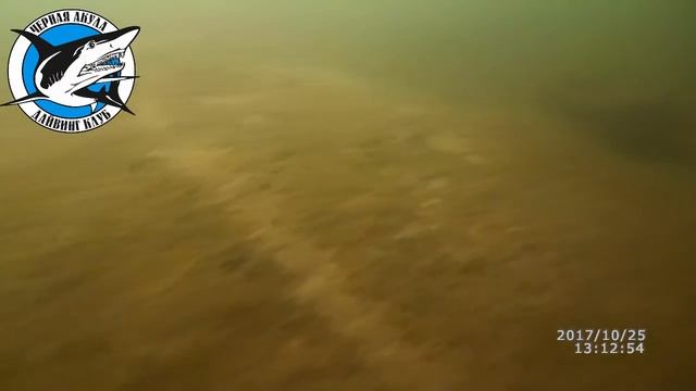 Открытая вода смотреть онлайн