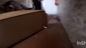 ЭДИТ МАКС ВАЩЕНКО