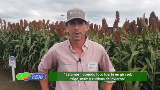 En la Expo RAGT conocimos las novedades en sorgo смотреть онлайн