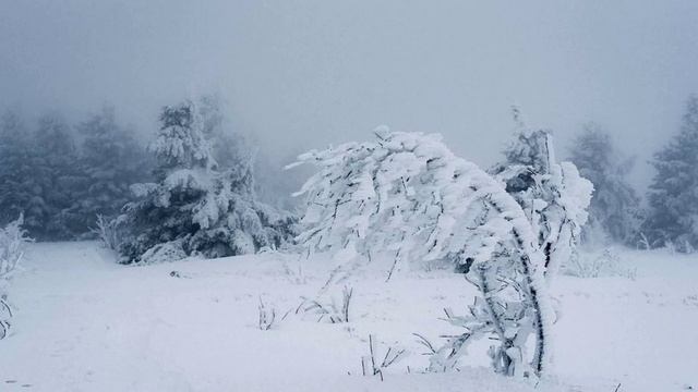 В феврале далеко до весны... Иосиф Бродский. смотреть онлайн