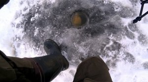 Можайское Водохранилище. Ловля Леща