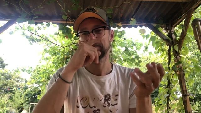 О Хурма 😳 РЖЯ