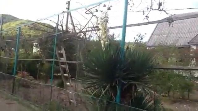 Привет смотреть онлайн