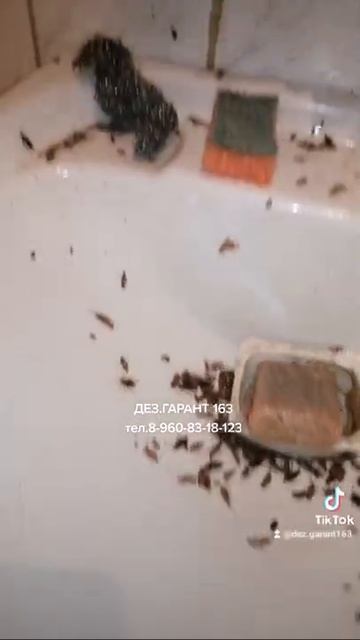 ДЕЗ.ГАРАНТ 163 тел.89608318123 смотреть онлайн