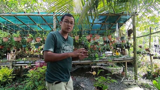 [EP64] Hoya Planting Guide смотреть онлайн