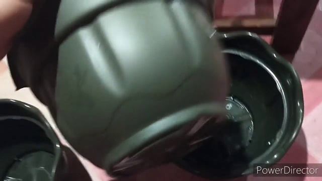 PLANT HUNTING SA KAKAHOYAN AT NAKAHANAP KAMI NG EPIPREMNUM PINNATUM! смотреть онлайн