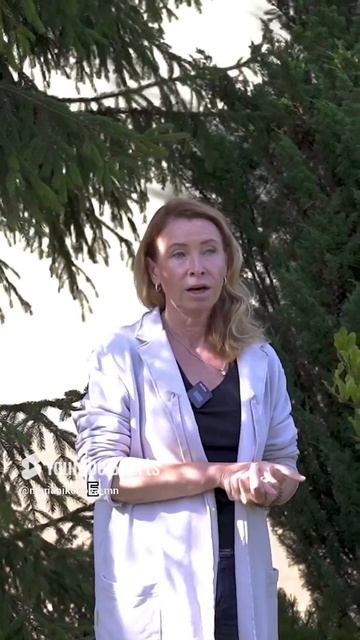 Можжевельник китайский, сорт «BLAAUW». смотреть онлайн