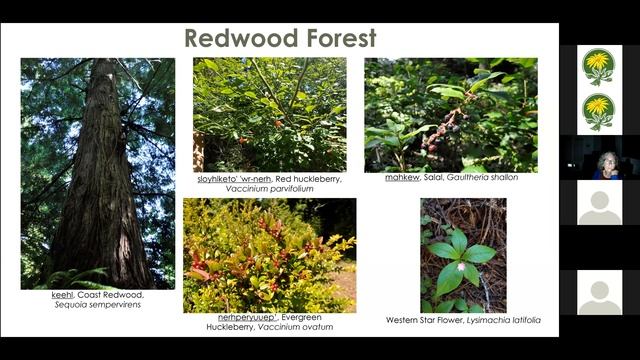 An Exploration of Coastal Plant Communities and the Journey to Heal them at Seawood Cape Preserve смотреть онлайн