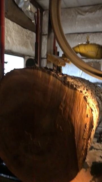 Cutting (Quarter Sawing) Sycamore on our 67" Band Saw - Part 2 смотреть онлайн