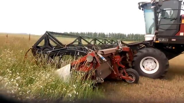 4 августа 2019 г. смотреть онлайн
