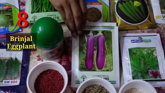 16 Best Vegetables to Grow in July and August / Monsoon Vegetables / Barsat me lagayen ye sabjiyan смотреть онлайн