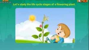 Plant Life Cycle & What Plants Need To Grow *Earth Science for Kids*