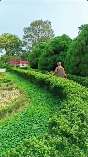 А это где?! Красота парка Южные культуры в #адлер смотреть онлайн