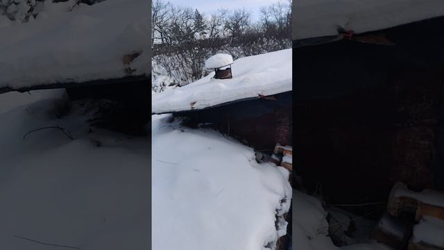 VID_20241214_120626 смотреть онлайн