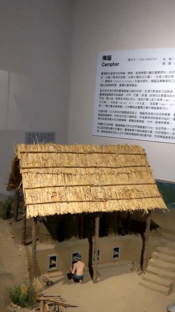 Did you see the Taiwan tea plantation? #short смотреть онлайн