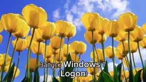 Звук включения и выключения Windows 7