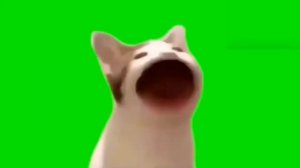 Кошка мяу мяу