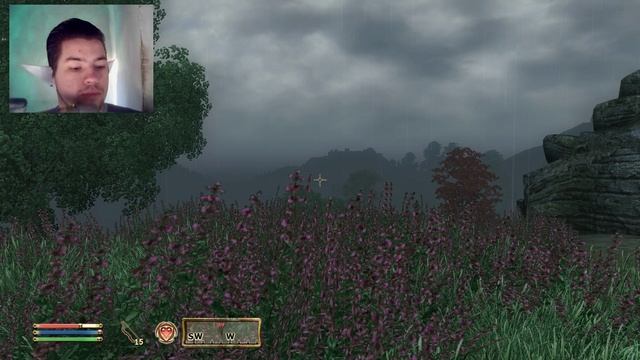 The Elder Scrolls IV:Oblivion №162 Подмениваем документы смотреть онлайн