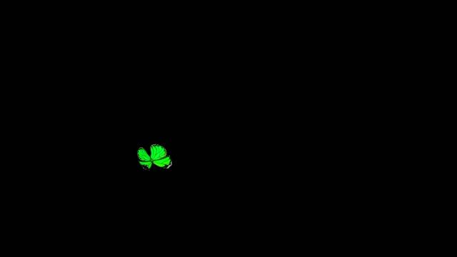 colour butterfly black screen | black screen butterfly | butterfly black screen video смотреть онлайн