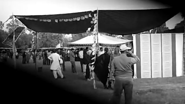 alokozay best tea activty faisalabad punjab pakistan must see by db agencies смотреть онлайн
