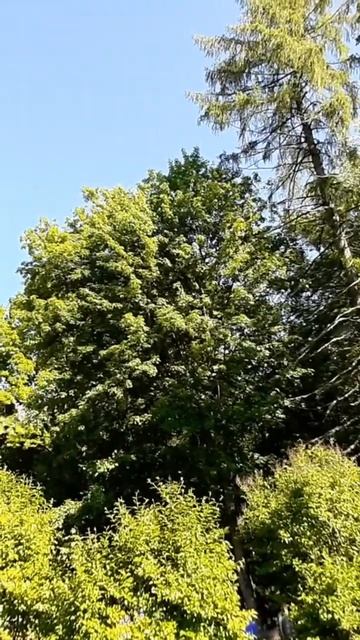 7 октября 2022 г. смотреть онлайн