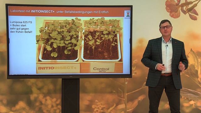 Rapserdfloh in den Beständen? Trotzdem gut ernten! смотреть онлайн