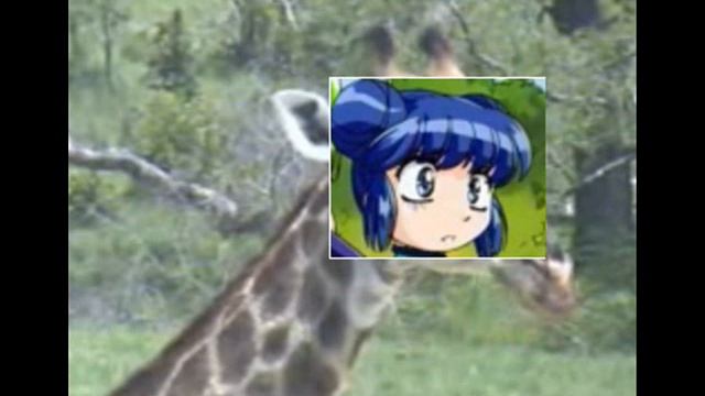 Ichigo and Mint смотреть онлайн