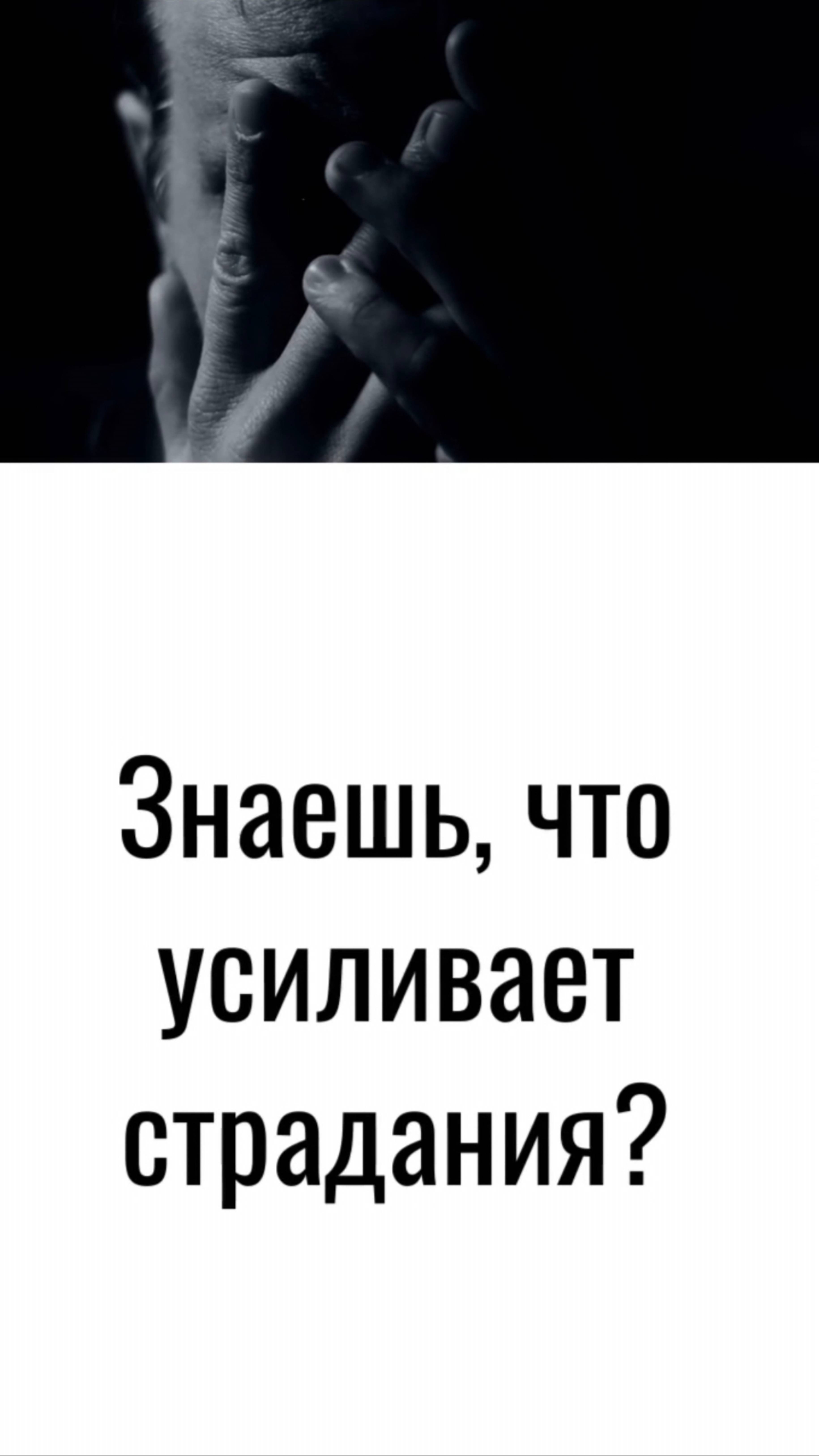 Мир внутри 🕊