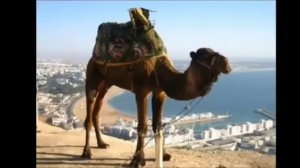 На горе стоял казёл