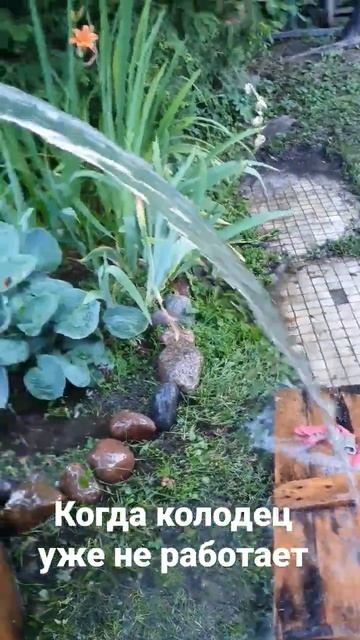 Абиссинская скважина Ленинградская область т. 8 964 330 31 18 смотреть онлайн