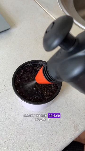 Как Вырастить Балконные Огурцы? смотреть онлайн