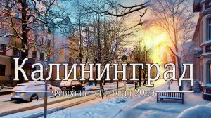 Калининград:  Февраль -  снегопад 2025