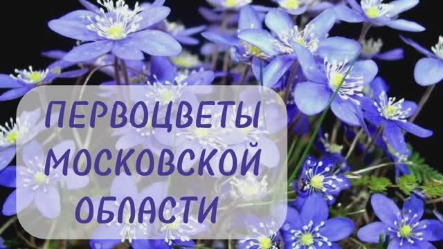 Печёночница благородная