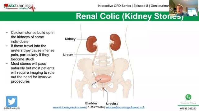 Interactive CPD Series | Episode 8 | Genitourinary Pathophysiology смотреть онлайн