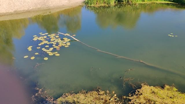 VID_20240922_143543 смотреть онлайн