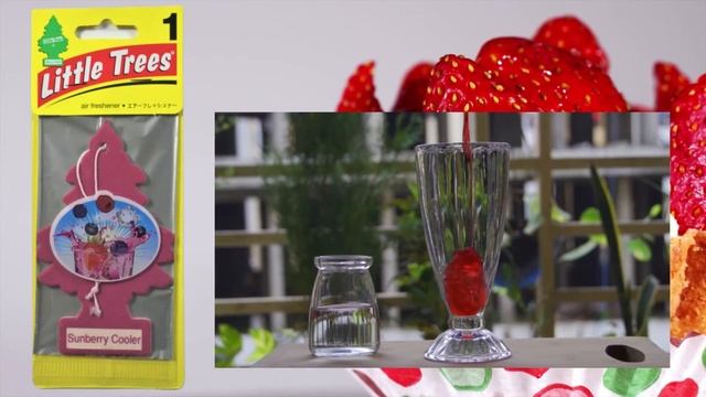 Discontinued Little Trees Collection # 022 (Sunberry Cooler) смотреть онлайн