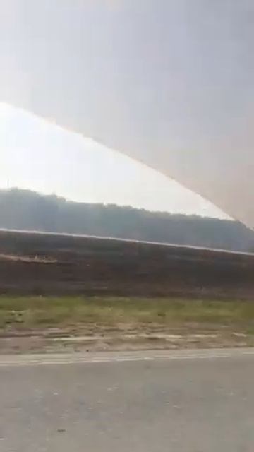 ОМСКАЯ ОБЛАСТЬ В ДЫМУ смотреть онлайн