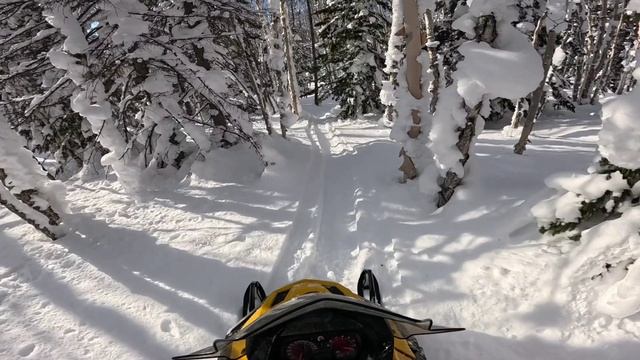 14.02.2025 г. Сахалин/Снегоход/