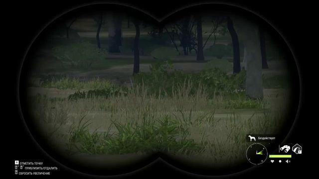 TheHunter Call Of The Wild ОХОТА ВОЗВРАЩАЕТСЯ! ОХОЧУСЬ В ЗАКАЗНИКАХ ДИКОЙ ПРИРОДЫ!