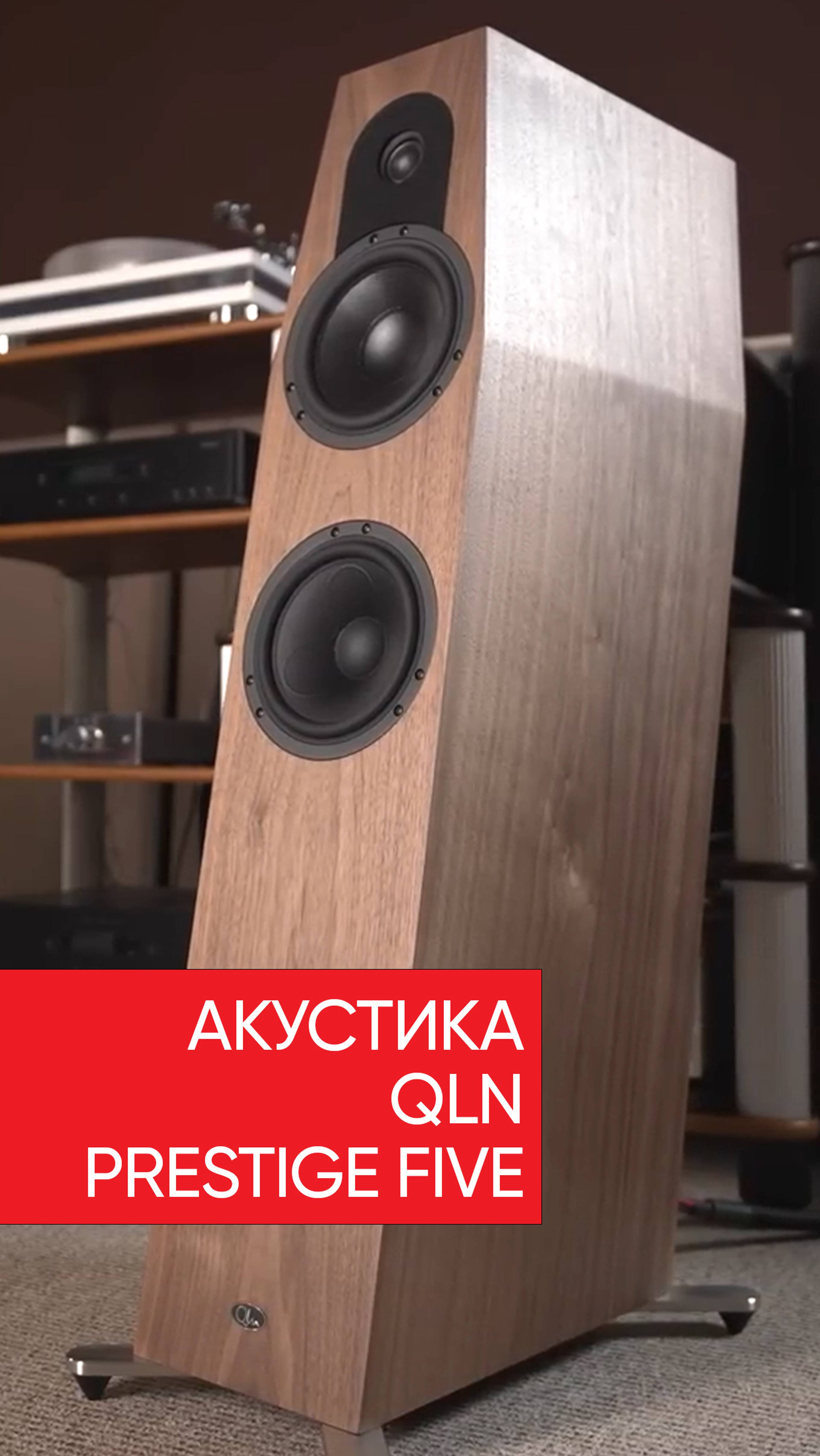 QLN смотреть онлайн