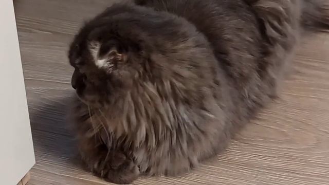 Эрик не в настроении 🤔 смотреть онлайн