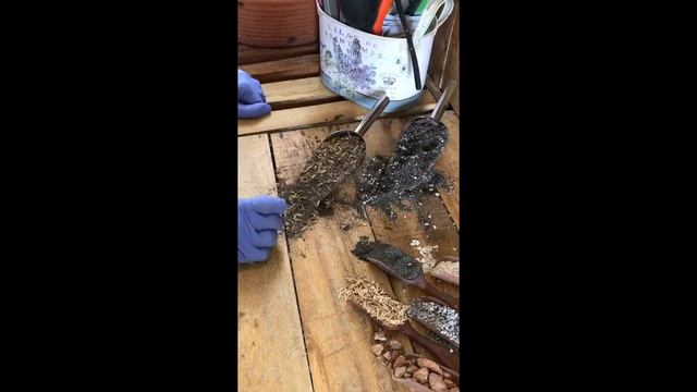 Cactus and Succulent Care Basics: Fast Draining Soil смотреть онлайн