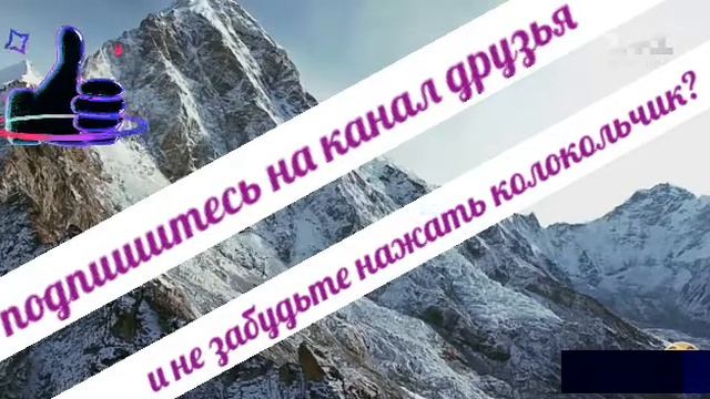 Песня Лай лай?  Суруди лай лай?