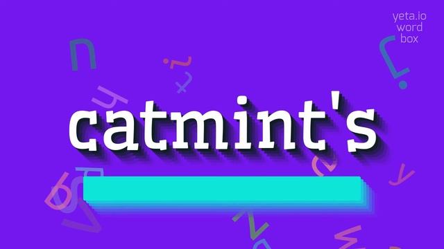 HOW TO SAY CATMINT'S? #catmint's смотреть онлайн
